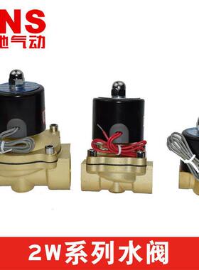 NS神驰气动2W系列水阀电S磁阀门792W2025-08AC220V铜常闭电磁黄阀