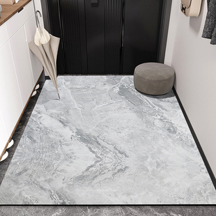 高级感入户门地垫门口脚垫 吸水皮革纳帕科技皮免洗可擦玄关门垫