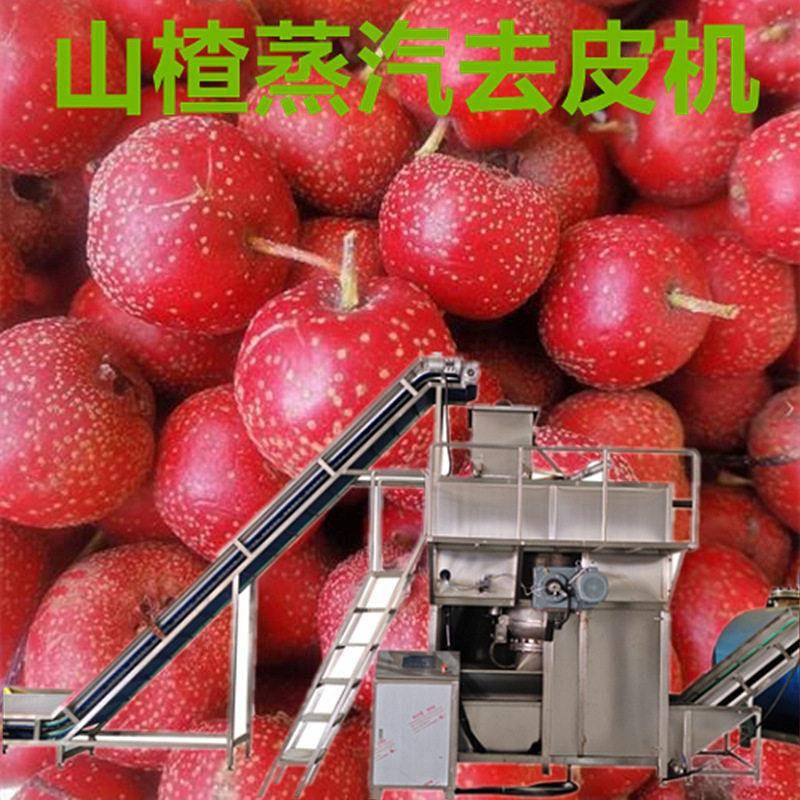 山楂蒸汽去皮机土豆红薯温剥皮设备滚筒连续脱皮机器