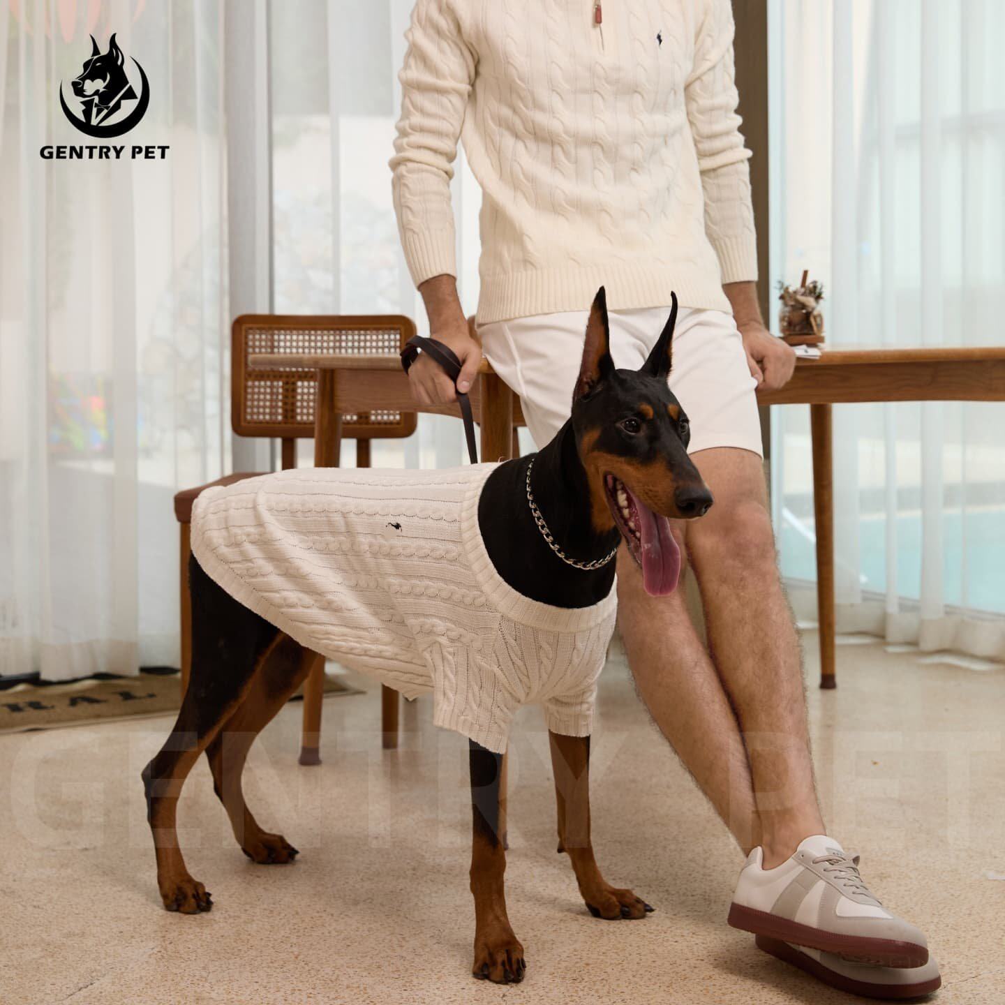 进口潮牌宠物服装马夫狗狗衣服老钱风麻花针织衫保暖毛衣短袖时尚