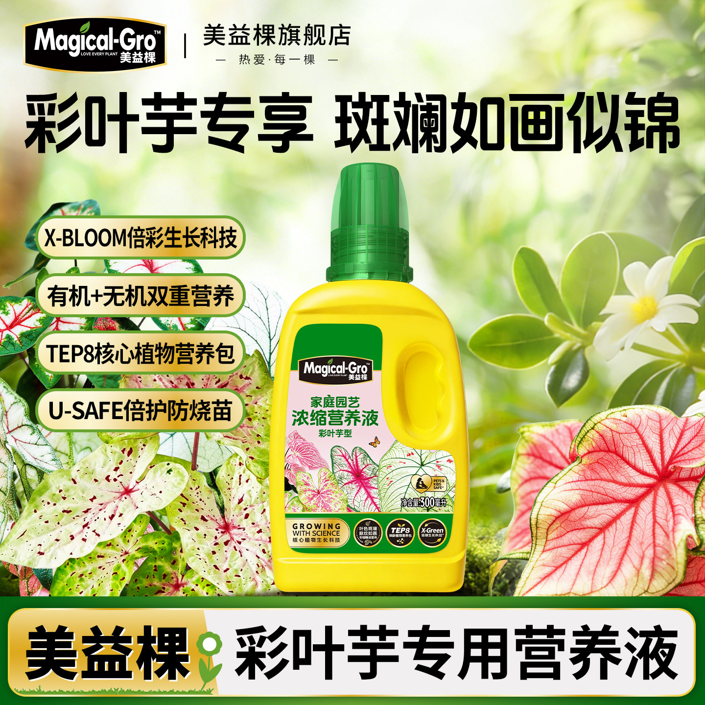 美益棵彩叶芋专用营养液室内盆栽促生壮根复合肥水溶花肥通用肥料