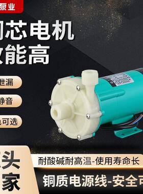 现货供应mp-20rzm系列耐酸碱磁力泵化工药物卧式微型工程塑料驱动