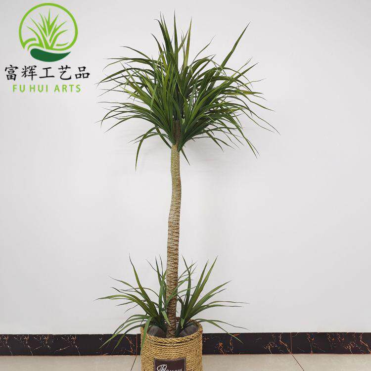 仿真植物千年木龙血树铁树龙须树盆栽组合景观造景绿植摆件