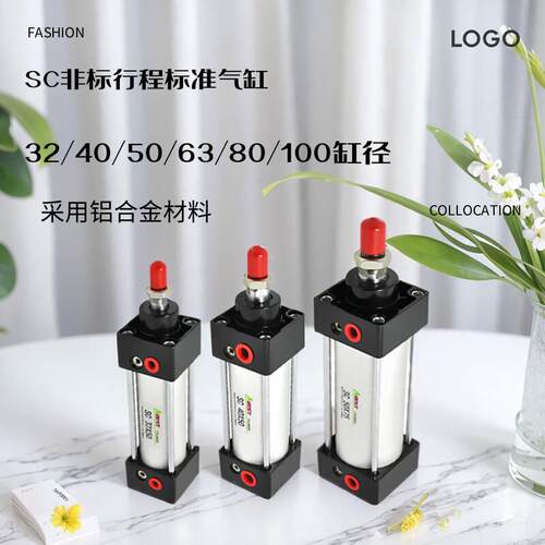SC32/40/50/63/80/100*30S*35S*40S*55*160S带磁非标行程标准气缸