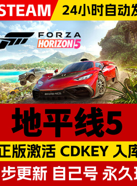 steam正版极限竞速地平线5激活码CDKEY入库地平线5全DLC中文PC游戏 在线联机Forza Horizon 5 赛车 多人 竞速
