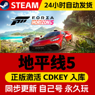 steam正版极限竞速地平线5激活码CDKEY入库地平线5全DLC中文PC游戏 在线联机Forza Horizon 5 赛车 多人 竞速