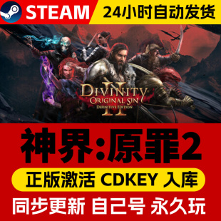 Steam正版神界原罪2激活码cdk在线联机全DLC激活入库国区全球区Divinity Original Sin 2电脑PC中文游戏