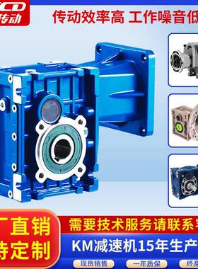 齿轮减速机厂家电机一体小型双输出轴螺旋立式直角涡轮rv减速机