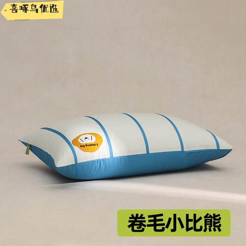 A类全棉水洗棉枕头套48x74cm家用一对装枕芯内胆套单双人纯棉枕套