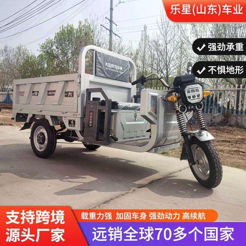 电动三轮车外贸出口载重王大功率农用载人拉货电动三轮车