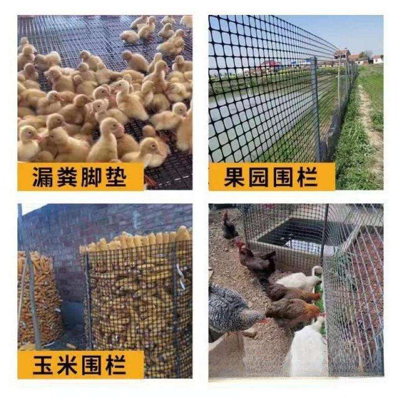 塑料围网养殖防护拦鸡鸭胶网家用菜园玉米护栏栅栏户外养鸡围栏网