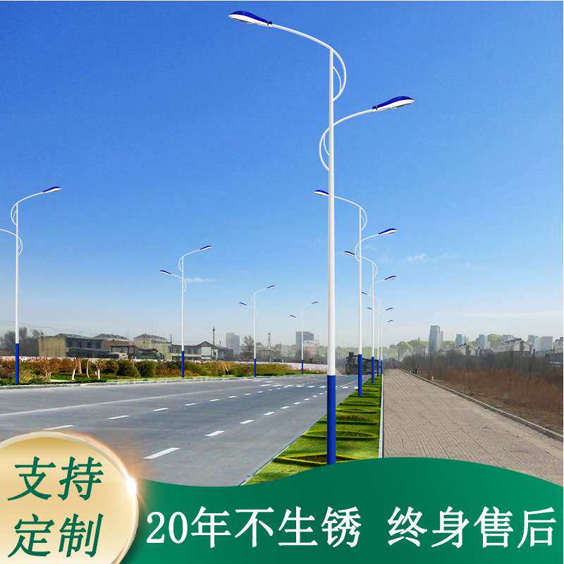 道路灯 8米10米12米双单臂路灯厂区臂路灯杆供应高杆灯LED路灯