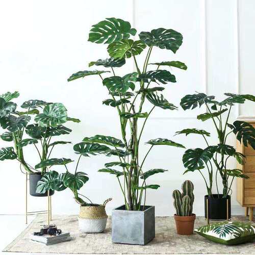 大型橱窗室内假龟背树假绿植仿真植物盆景地面装饰摆件仿真龟背竹