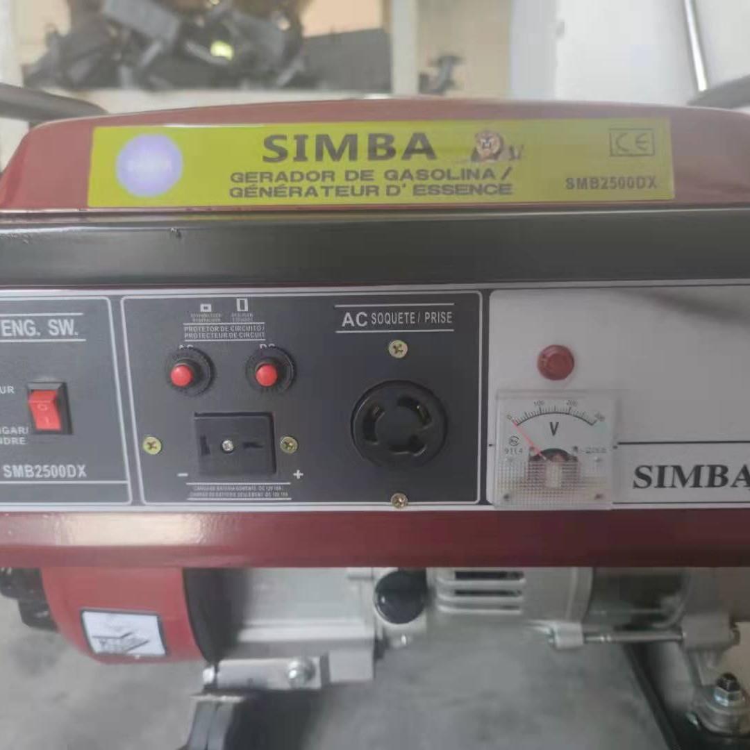 外贸154汽油发电机1.2kw220/110V工程园林灌溉发动机便携式