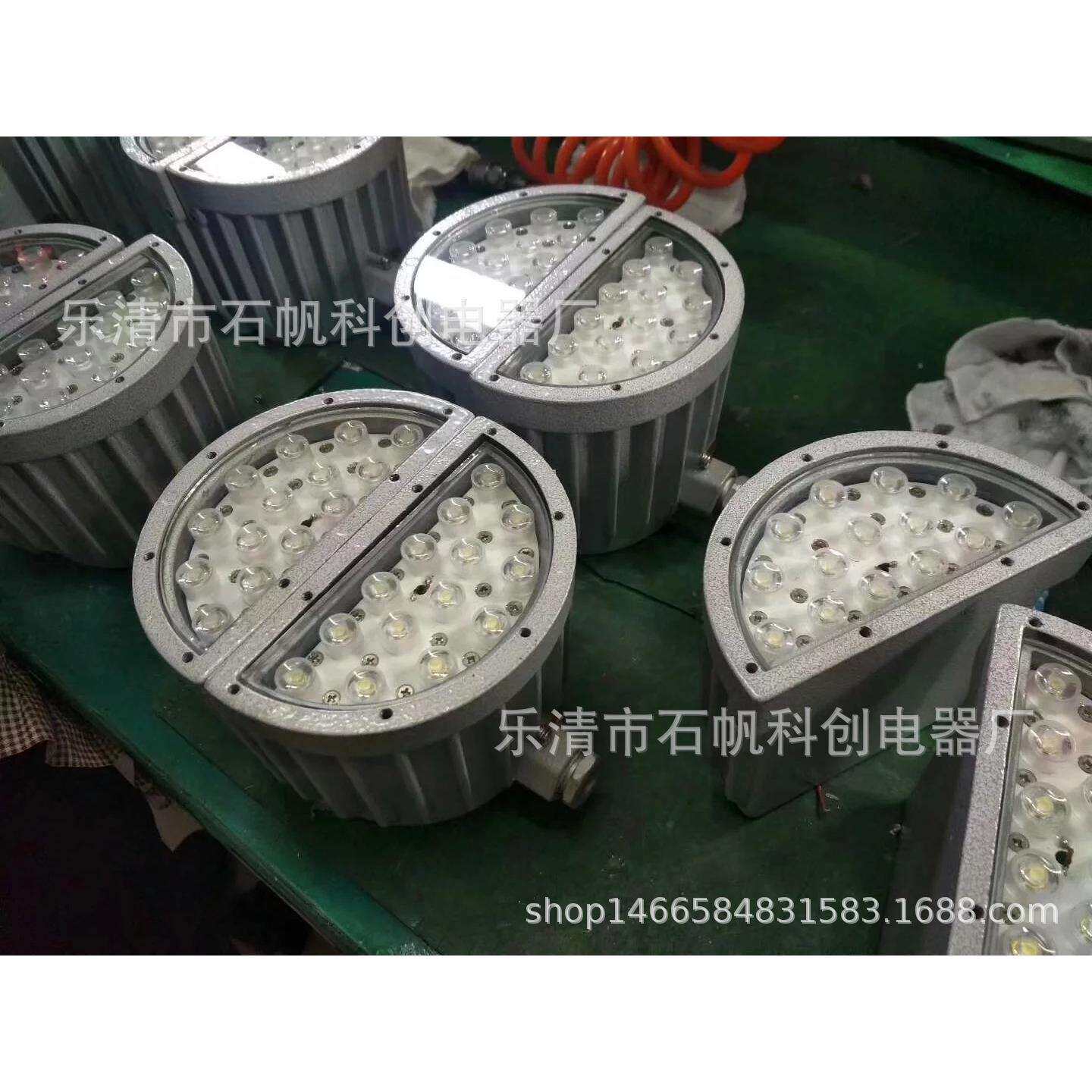 30WLED防爆视孔灯 视镜射灯 DC24V反应釜防爆灯