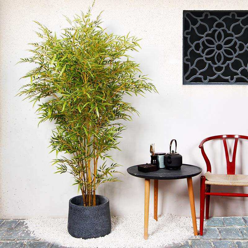 落地竹子盆栽样板房室内装饰隔断植物庭院橱窗中式禅意造景