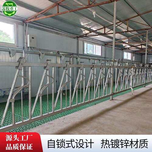 畜牧设备羊颈夹自锁式设计固定羊只3米9位苏牧重工养羊场专用