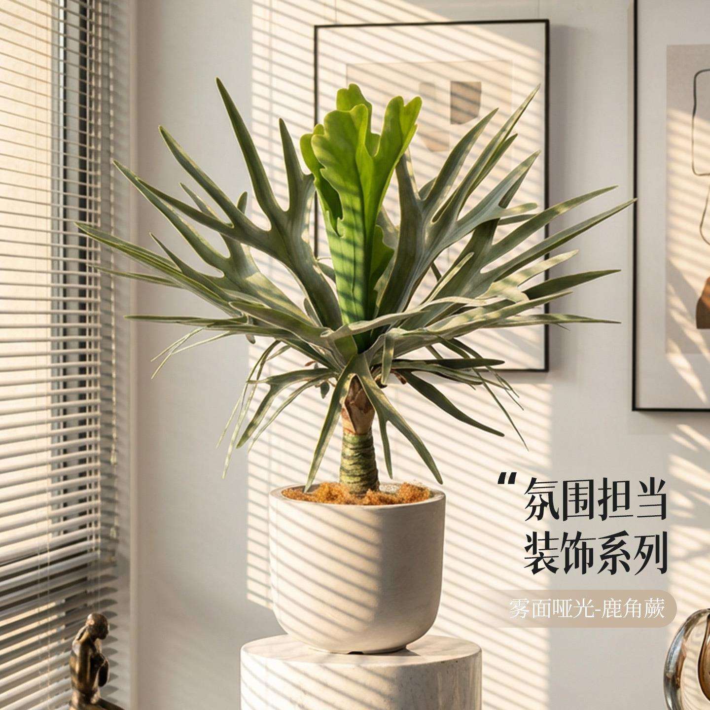 工厂仿真鹿角蕨盆栽大型人造假树室内摆件热带仿真绿植盆景