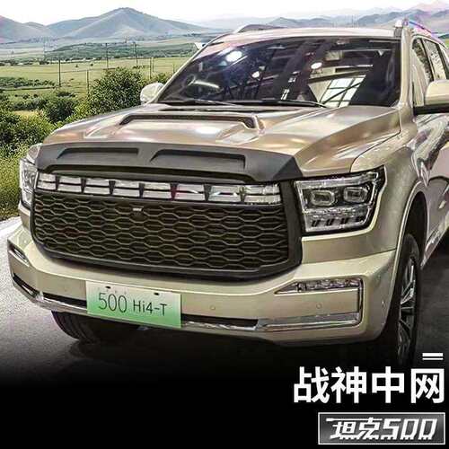 坦克500hi4t/hi4z中网改装发光前脸战神中网车标外观装饰用品配件