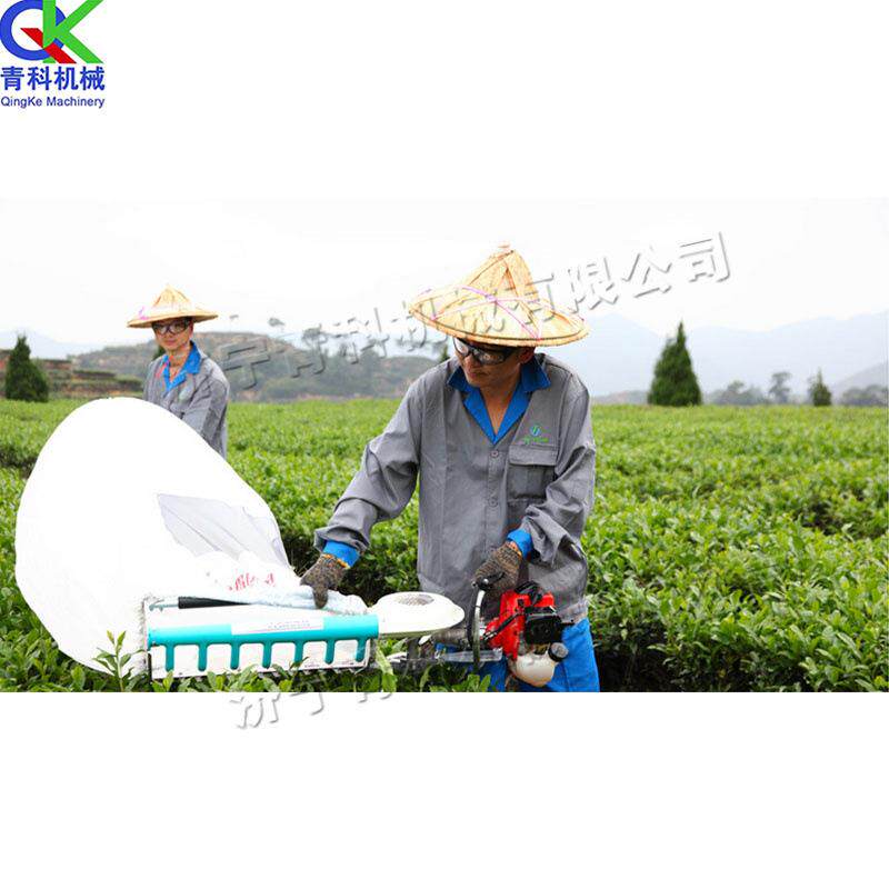 手持式单人采茶机 汽油动力背负式摘茶机 便携式二冲程绿篱机