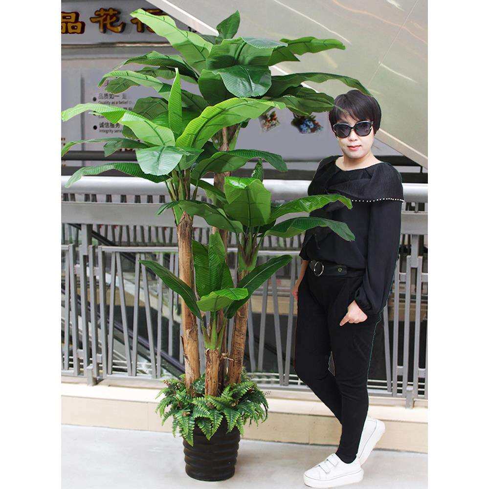 植物盆栽假绿植装饰室内摆件防真花塑料芭蕉树客厅大网红盆景