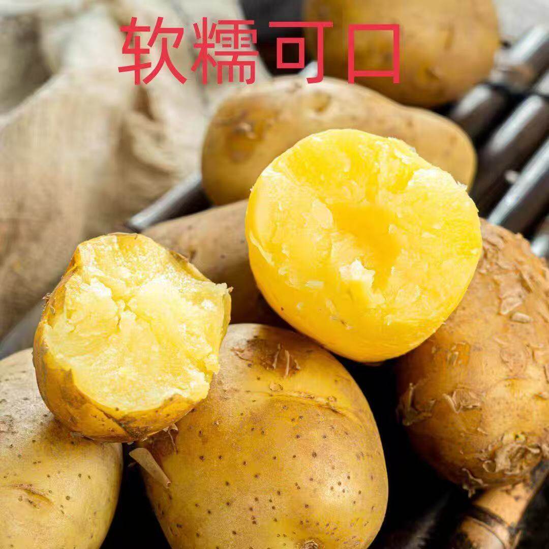 亏本抢3斤】即食土豆开袋即食蒸土豆蔬菜马铃薯方便早餐代餐速食
