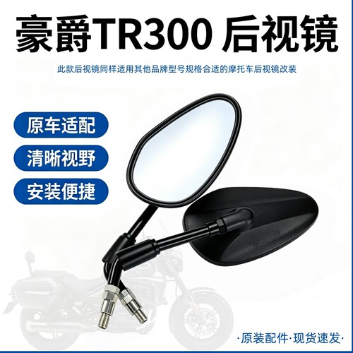 豪爵TR300后视镜HJ300-3A左右后视镜反光镜观后镜倒后镜原装配件