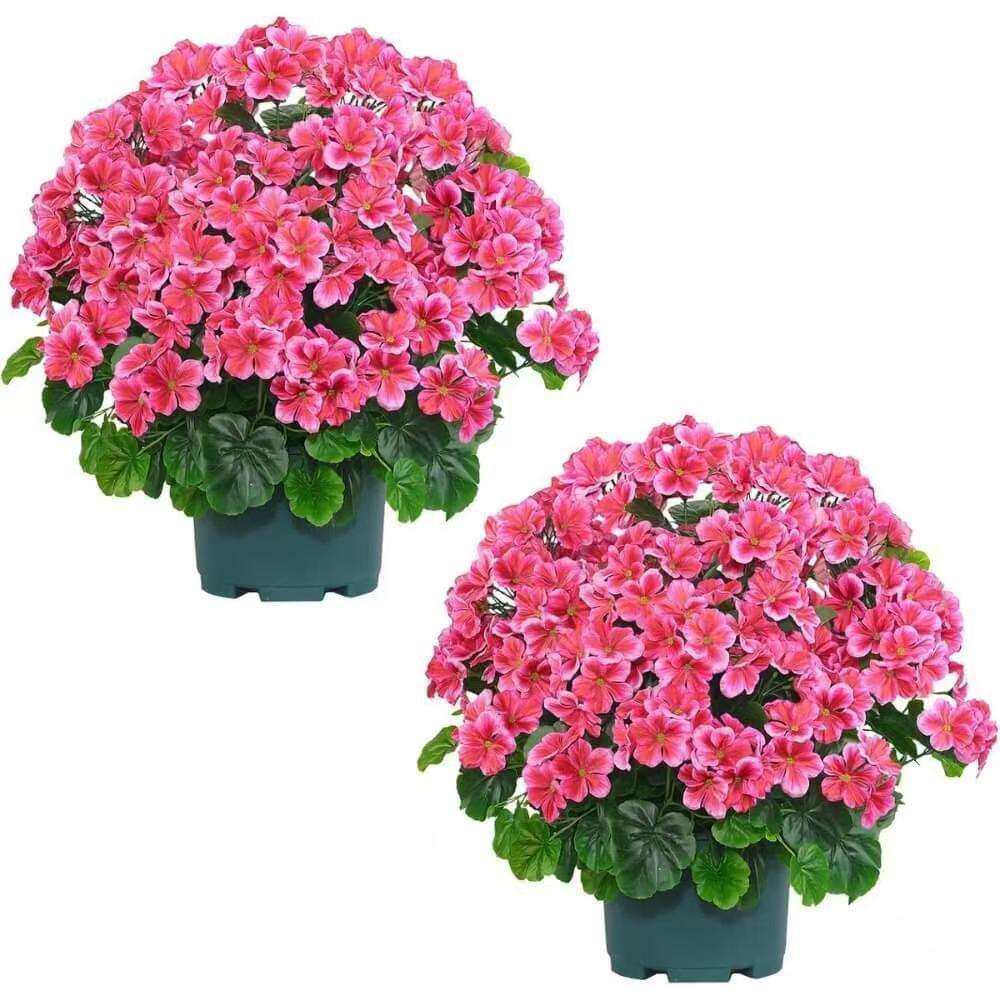 跨境海棠花天竺葵红色仿真花工厂家居装饰摆件仿真花假花绿植