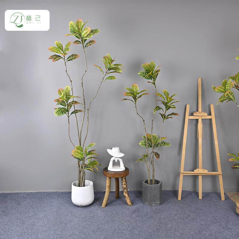 厂家仿生绿植洒金榕 家居装饰盆景大型落地盆栽变色木洒金榕