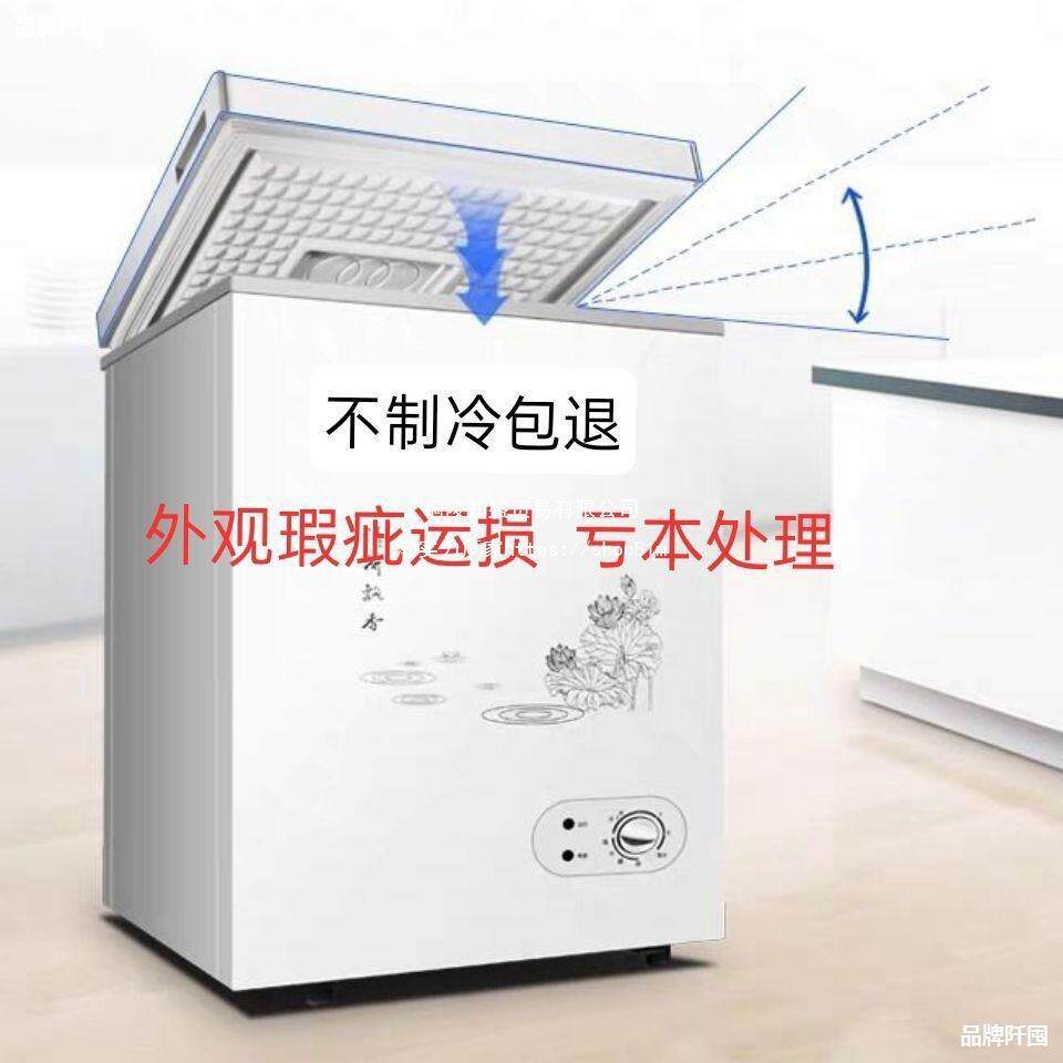 温控单冷家庭冷冻柜市场冷饮运损食堂冷柜立式家用小冰柜100升