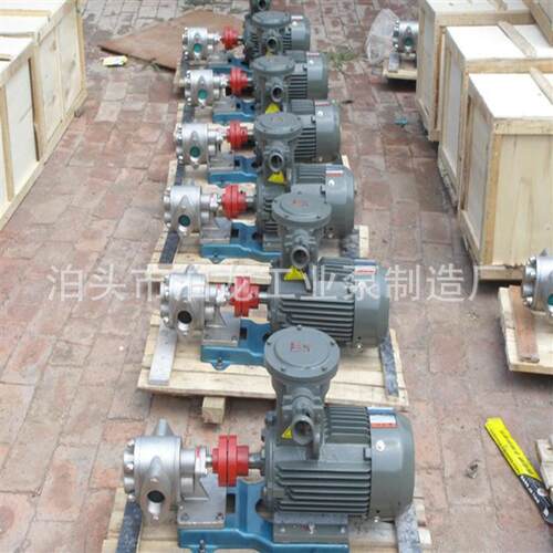 螺纹连接的不锈钢KCB泵 泊头小泵 河北白钢泵厂家 304不锈钢泵