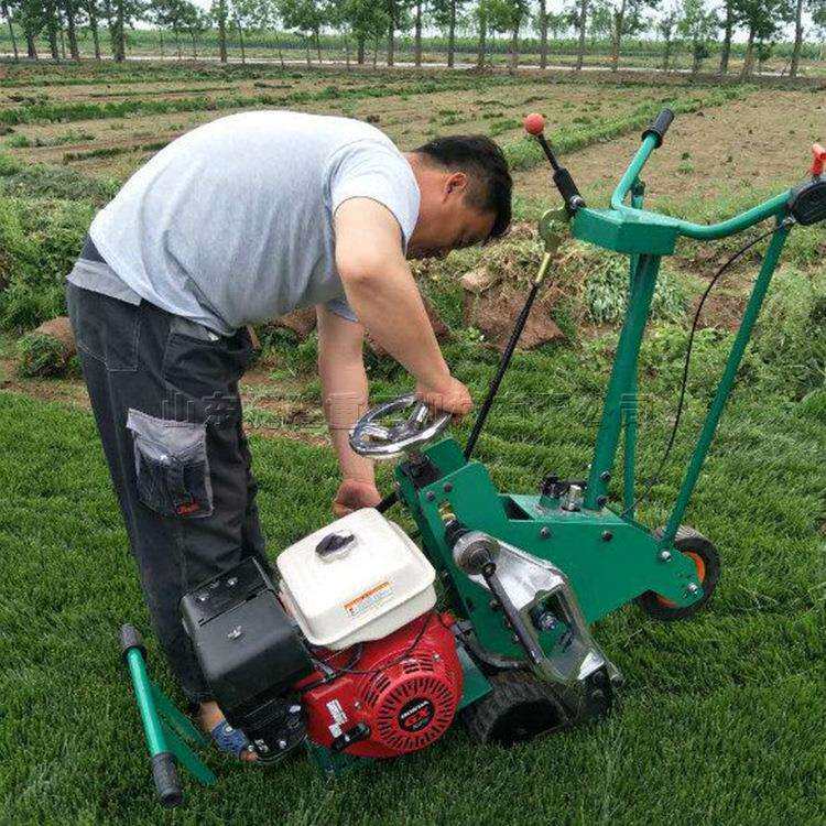 马尼拉高羊茅草铲草机 9马力草坪移植机 手扶随进式园林起草皮机