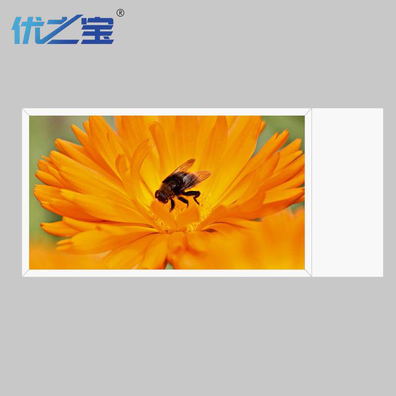43/49/55寸银行双面橱窗广告机/吊挂显示屏/多媒体信息发布一体机