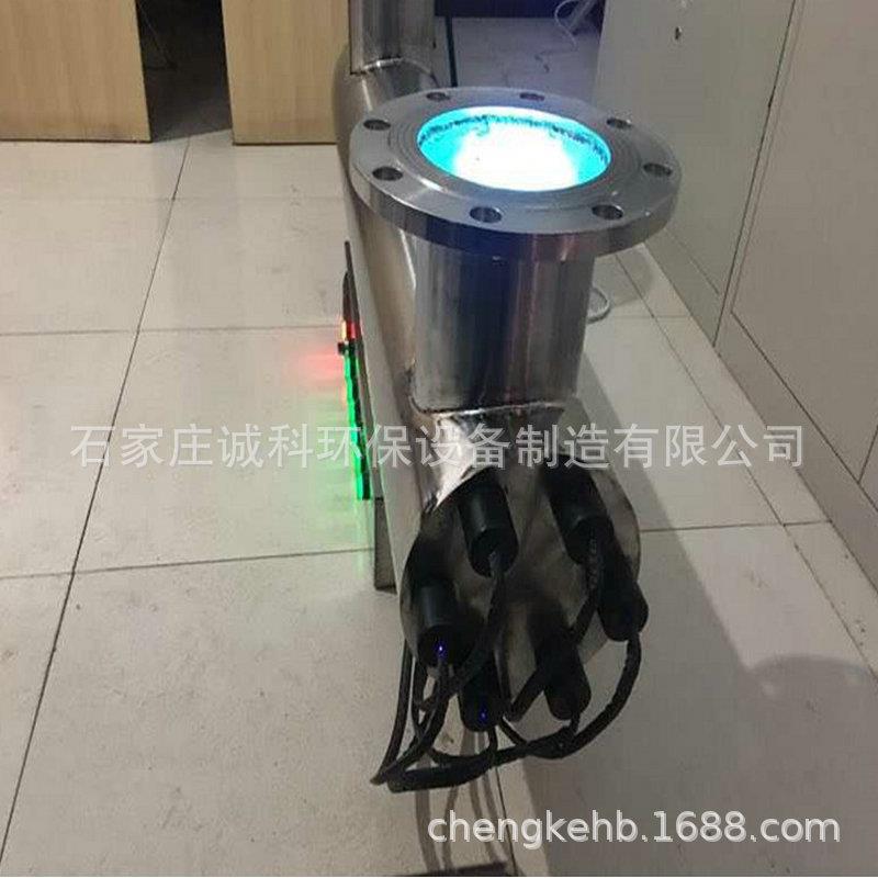 加工泳池紫外线消毒器 水上娱乐设施紫外线消毒器水处理设备
