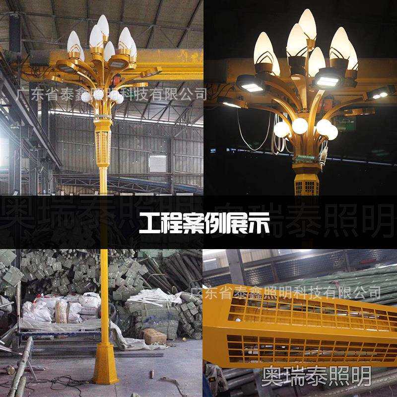 户外广场园林市政道路照明建设景观灯公园步行街异型中华灯