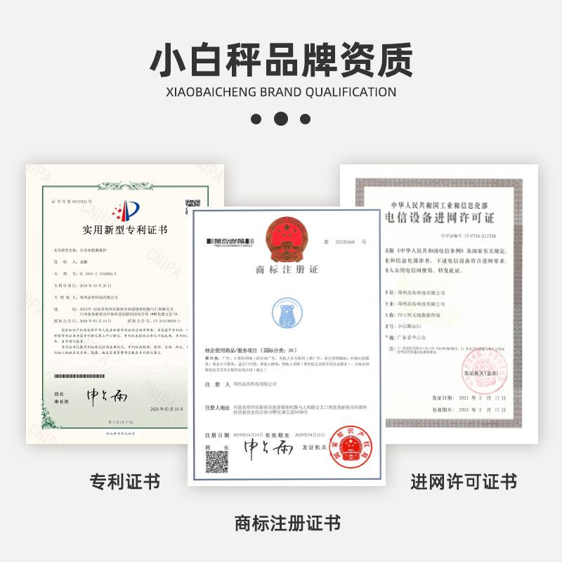 小白秤手提电子秤50kg迷你便携旅游快递买菜行李秤勾称重精准家用