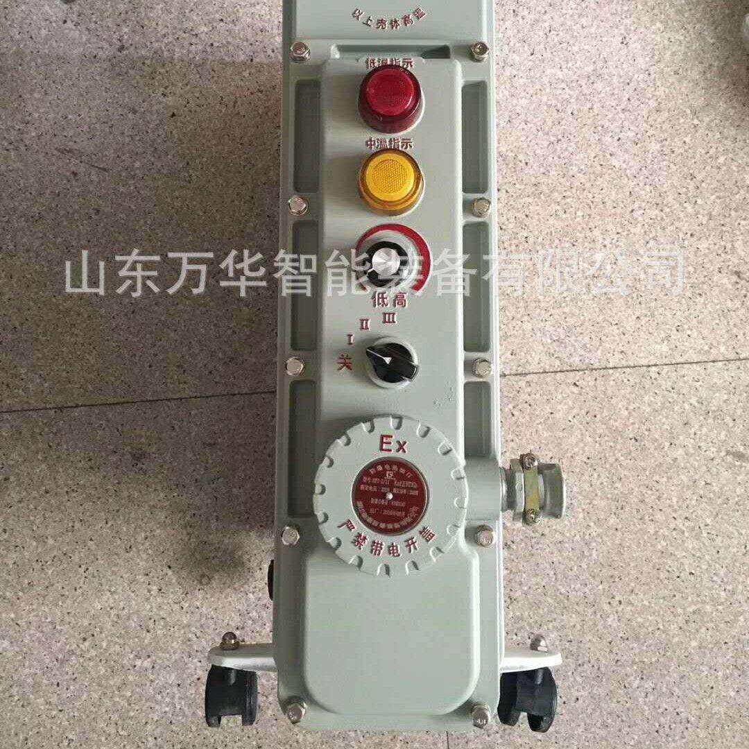 煤矿用井下电热油汀大功率电热暖气片工业煤矿井下电热式取暖器