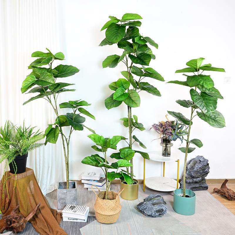 心叶榕落地盆栽菩提树室内假植物客餐厅假树橱窗软装设计真