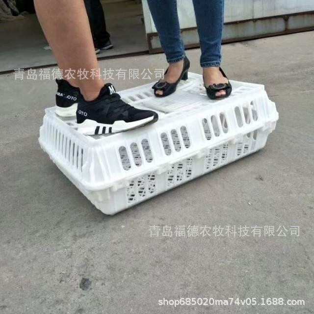 鸡笼运输筐 家禽运输笼 鸡用运输笼 成鸡周转筐 鸽子运输笼