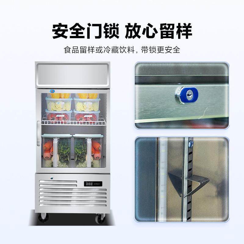 学校酒店专用留样冰柜商用冰箱小型带锁冷冻柜保鲜食品冷藏展示柜