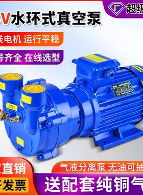 2BV系列水环式真空泵工业用高真空水循环真空泵雕刻机真空吸附