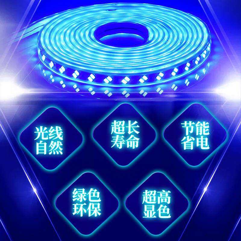 220V蓝色灯条超高亮天花吊顶KTV招牌灯箱装饰长条灯蓝光LED灯带