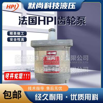 法国进口HPI齿轮泵P1BAN1004CL10B01N/C5074932 P1BN1005FL油泵