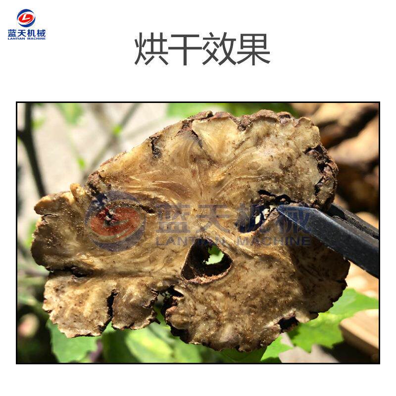 空气能川穹烘干机 大型川穹切片脱水烘干房 川芎台芎低温烘干设备