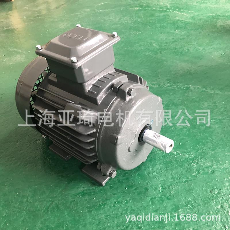 AEEV1H-355L2-4无锡东元V系列国标电机315KW-TECO