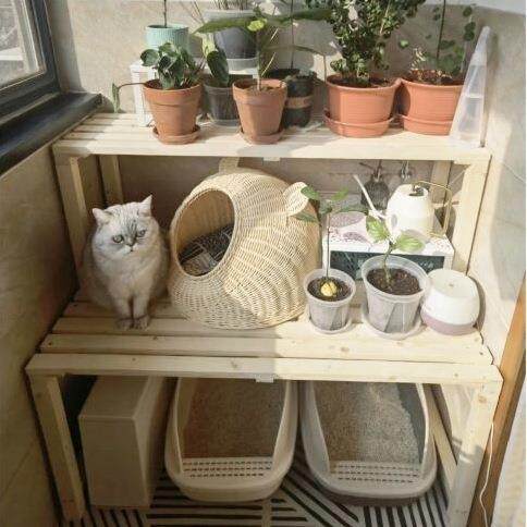 实木猫爬架猫窝花架猫砂盆置物架多层宠物用品收纳阳台猫咪阶梯架