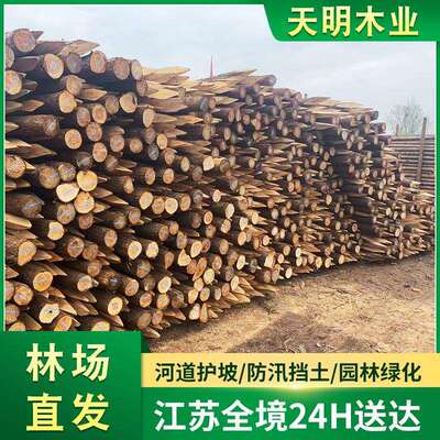 厂家原木打桩木杉木桩护坡整治河堤现货按需削尖木桩