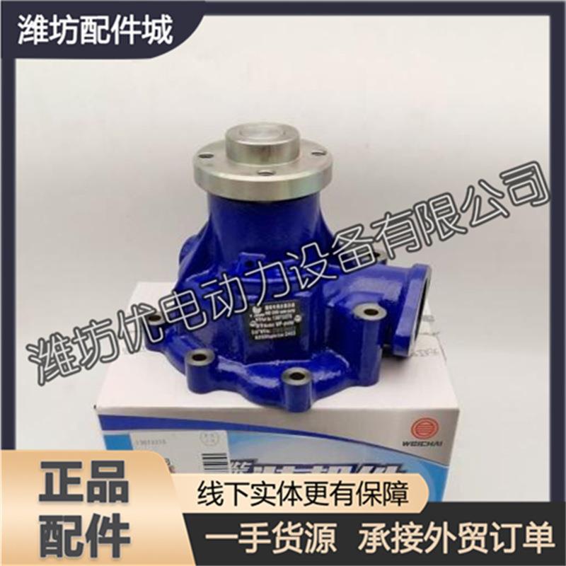 水泵总成13073375潍坊226B潍柴WP6道依茨柴油发动机客车原厂配件