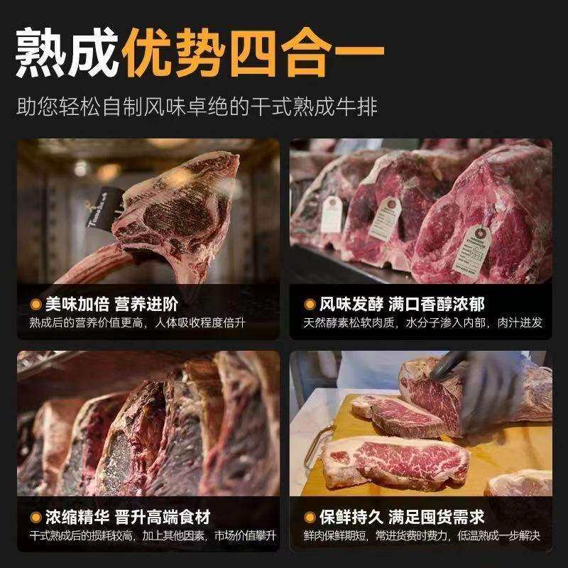 牛肉熟成柜干式和牛排酸柜西餐烤肉柜冷藏恒温冷冻深海鱼柜展示柜
