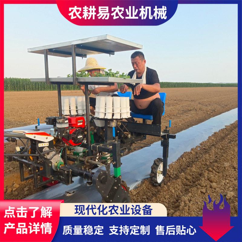 自栽走式移机苗秧苗种HHH植机械扶自走手式移栽机厂家生产秧移栽